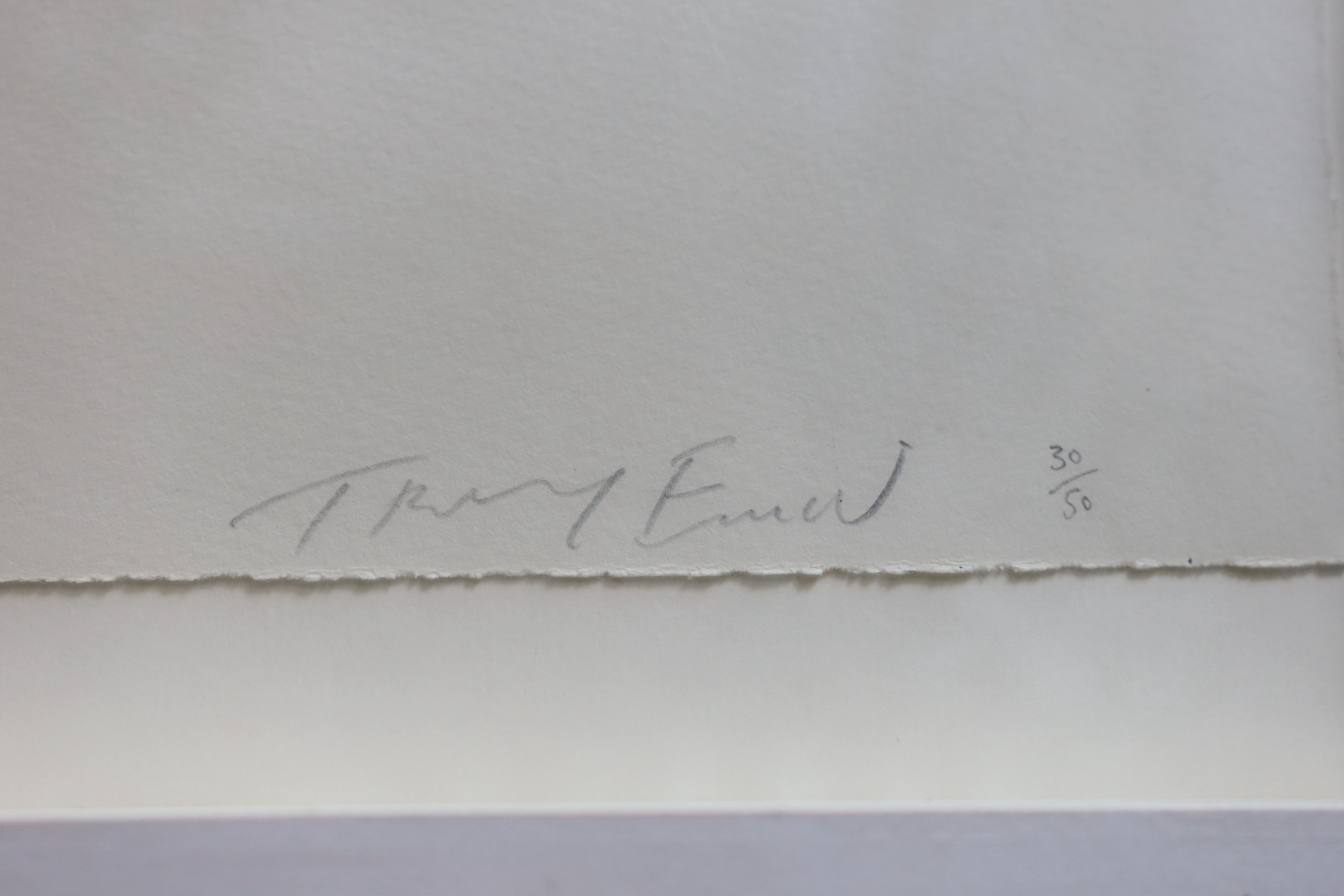 Tracey Emin RA (b.1963), 'Dark Womb, 2010', soft ground etching, 23 x 30cm, the sheet 40 x 45cm